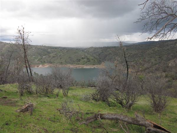 Millerton Lake State Recreation Area (SRA) (3/17/2012 - Credits: By David Prasad [CC BY-SA 2.0 (http://creativecommons.org/licenses/by-sa/2.0)], via Wikimedia Commons)