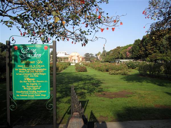 Exposition Park Rose Garden (9/11/2012 - Credits: By Stephanie Kemna (Own work) [CC BY-SA 3.0 (http://creativecommons.org/licenses/by-sa/3.0)], via Wikimedia Commons)