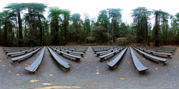 Armstrong Redwoods State Natural Reserve (SNR) (11/17/2013 - Credits: "Redwood Theater" by Joseph McCarty (CC BY-NC-NC 2.0) [https://creativecommons.org/licenses/by-nc-nd/2.0/] https://www.flickr.com/photos/rouxroyale/)