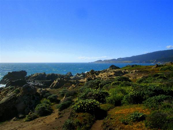 Salt Point State Park (SP) (5/27/2006 - Credits: "Salt Point" by Benjamin Pender (CC BY-NC 2.0) [https://creativecommons.org/licenses/by-nc/2.0/legalcode] https://www.flickr.com/photos/benpender/)