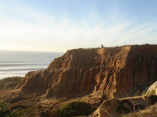 Torrey Pines State Natural Reserve (SNR) (12/5/2005 - Credits: "Torrey Pines State Reserve" by Navin Rajagopalan (CC BB-SA 2.0)[https://creativecommons.org/licenses/by-sa/2.0/legalcode] https://www.flickr.com/photos/navin75/)