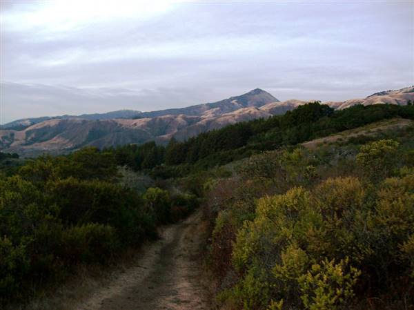 Andrew Molera State Park (SP) (10/11/2007 - Credits: "On the hiking trail at Andrew Molera State Park (molera60)" image by Matthew Lee High (CC BY-NC 2.0)[https://creativecommons.org/licenses/by-nc/2.0/legalcode]https://www.flickr.com/photos/matthigh/)