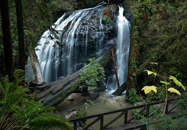 Russian Gulch State Park (SP) / Russian Gulch Bridge - Highway 1 (12/26/2014 - Credits: "Waterfall, Fern Creek Russian Gulch State Park" by Steven Bratman (CC BY 2.0)[https://creativecommons.org/licenses/by/2.0/legalcode] https://www.flickr.com/photos/darkdenver/)