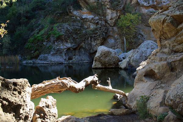 Malibu Creek State Park (SP) (11/20/2010 - Credits: "Planet of the Apes" by Tony Hoffarth (CC BY-NC-ND 2.0)[https://creativecommons.org/licenses/by-nc-nd/2.0/legalcode]https://www.flickr.com/photos/hoffarth/)