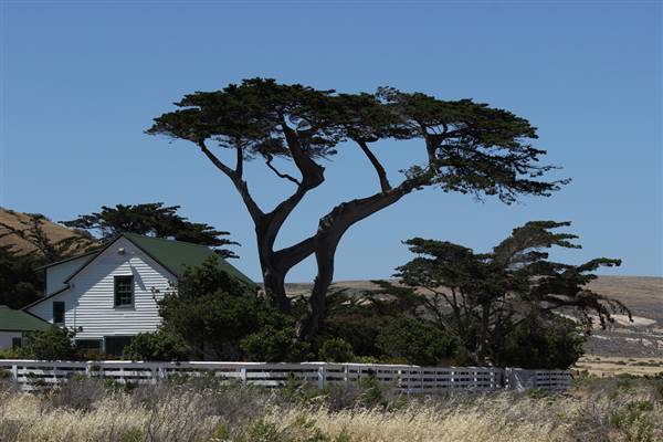 Channel Islands National Park - Santa Rosa Island (7/7/2016 - Credits: "Santa Rosa Island" by Edward Stojakovic (CC BY 2.0)[https://creativecommons.org/licenses/by/2.0/legalcode]https://www.flickr.com/photos/akasped/)