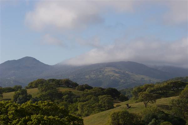 Pacheco State Park (SP) and Windmill Farm / Wind Energy (4/11/2009 - Credits: "Fog in the Hills" by Tom Clifton (CC BY-NC 2.0)[https://creativecommons.org/licenses/by-nc/2.0/legalcode]https://www.flickr.com/photos/tclifton/)