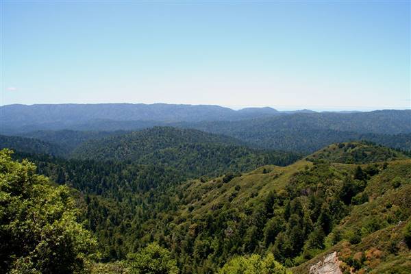 Castle Rock State Park (SP) (7/10/2005 - Credits: "Hike in Castle Rock State Park" by Bill Bumgarner (CC BY-NC-ND 2.0)[https://creativecommons.org/licenses/by-nc-nd/2.0/legalcode]https://www.flickr.com/photos/bbum/)