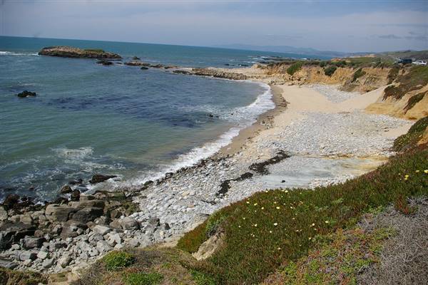 Pomponio State Beach (SB) (4/29/2009 - Credits: "Pomponiio Trail 025" by John Vonderlin (CC BY-NC 2.0)[https://creativecommons.org/licenses/by-nc/2.0/legalcode]https://www.flickr.com/photos/johnvonderlin/)