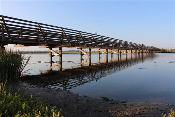 Bolsa Chica Ecological Reserve - California Department of Fish & Wildlife (CDFW) (7/9/2013 - Credits: "Bridge at Bolsa Chica" by Chris Jepsen (CC BY-NC-ND 2.0)[https://creativecommons.org/licenses/by-nc-nd/2.0/legalcode]https://www.flickr.com/photos/traderchris/)