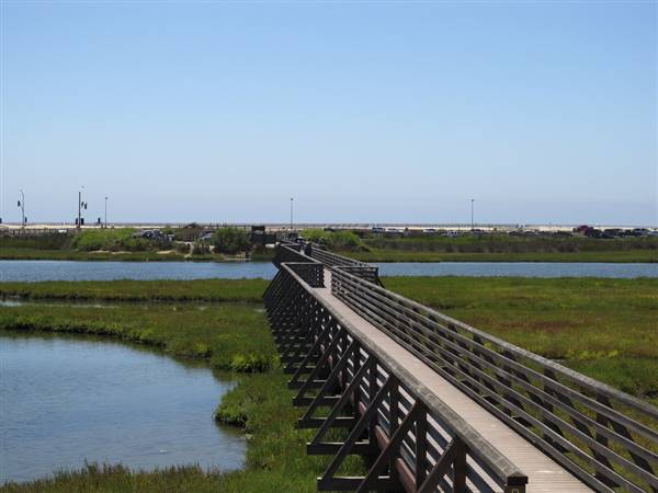 Bolsa Chica Ecological Reserve - California Department of Fish & Wildlife (CDFW) (8/6/2011 - Credits: "Bolsa Chica Ecological Reserve, Huntington Beach, California" by Ken Lund (CC BY-SA 2.0)[https://creativecommons.org/licenses/by-sa/2.0/legalcode]https://www.flickr.com/photos/kenlund/)