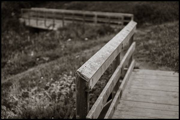 Sonoma Coast State Park (SP) (7/4/2014 - Credits: "Wooden Bridge, Kortum Trail through Furlong Gulch , Sonoma Coast State Park, CA." by Gregory Desantis (CC BY-NC-ND 2.0)[https://creativecommons.org/licenses/by-nc-nd/2.0/legalcode]https://www.flickr.com/photos/gregorydesantis/)