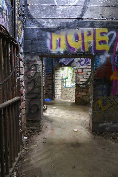 Griffith Park - Old LA Zoo (1/20/2015 - Credits: "P1050811" by Anna Aran (CC BY-NC-ND 2.0)[https://creativecommons.org/licenses/by-nc-nd/2.0/legalcode]https://www.flickr.com/photos/127505573@N02/)