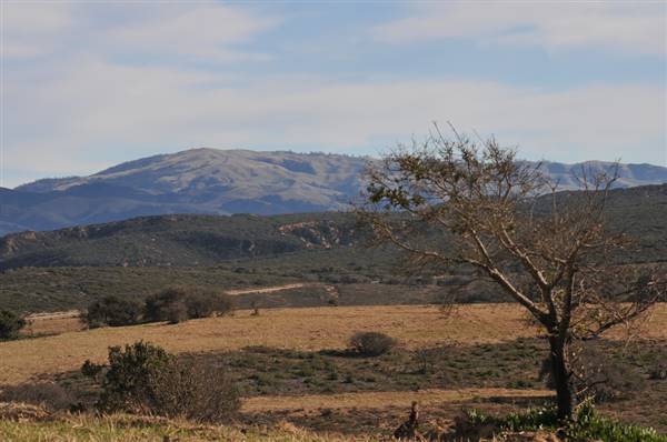 Fort Ord National Monument (1/7/2010 - Credits: "Fort Ord Photos" by Presidio of Monterey (CC BY-NC 2.0) [https://creativecommons.org/licenses/by-nc/2.0/legalcode]https://www.flickr.com/photos/presidioofmonterey/)