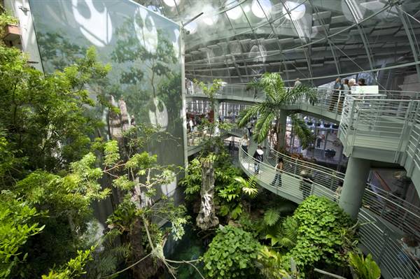 California Academy of Sciences (6/28/2014 - Credits: Photograph Courtesy of Visit California)