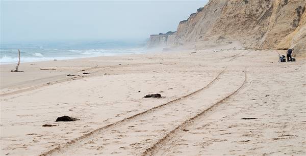 San Gregorio State Beach (SB) (7/5/2014 - Credits: "tracks.jpg" by Matthew Hine (CC BY 2.0)[https://creativecommons.org/licenses/by/2.0/legalcode]https://www.flickr.com/photos/hine/)