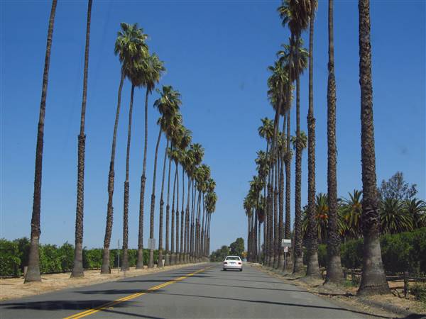 California Citrus State Historic Park (SHP) (3/24/2013 - Credits: "California Citrus State Historic Park" by Flickr User: Jasperdo (CC BY-NC-ND 2.0)[https://creativecommons.org/licenses/by-nc-nd/2.0/legalcode]https://www.flickr.com/photos/mytravelphotos/)