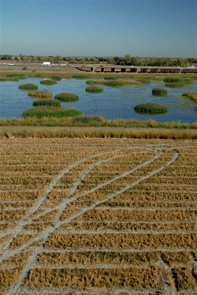 Sacramento-San Joaquin Delta (10/5/2016 - Credits: Photo courtesy of California Department of Water Resources)
