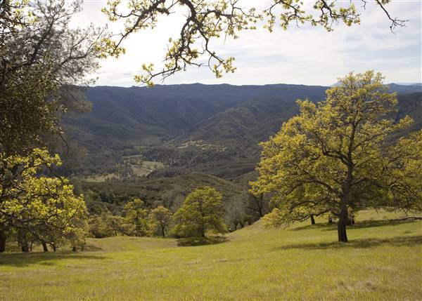 Cache Creek Wilderness (1/6/2015 - Credits: "BLM Winter Bucket List #14 Cache Creek Natural Area, California, for Eagle Hikes" by Bob Wick for BLM (CC BY 2.0)[https://creativecommons.org/licenses/by/2.0/legalcode] https://www.flickr.com/photos/mypubliclands/)