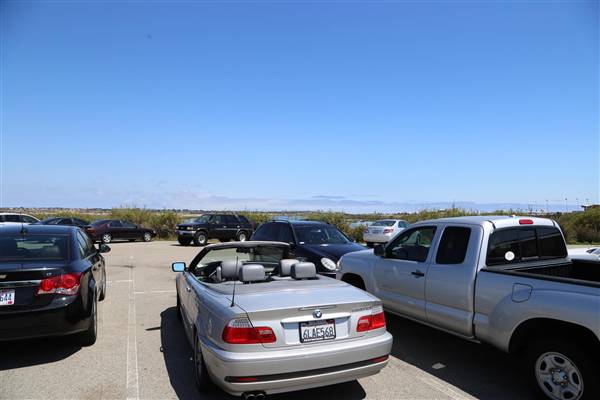 Bolsa Chica Ecological Reserve - California Department of Fish & Wildlife (CDFW) (10/18/2016 - Credits: Photo courtesy of Kris Bunting)