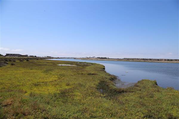 Bolsa Chica Ecological Reserve - California Department of Fish & Wildlife (CDFW) (10/18/2016 - Credits: Photo courtesy of Kris Bunting)