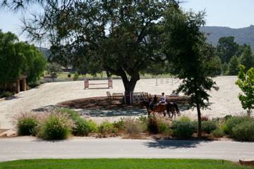 El Campeon Farms - Windy Hill Ranch (10/21/2016)