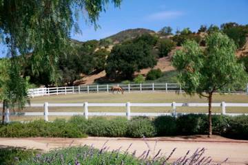 El Campeon Farms - Windy Hill Ranch (10/21/2016)