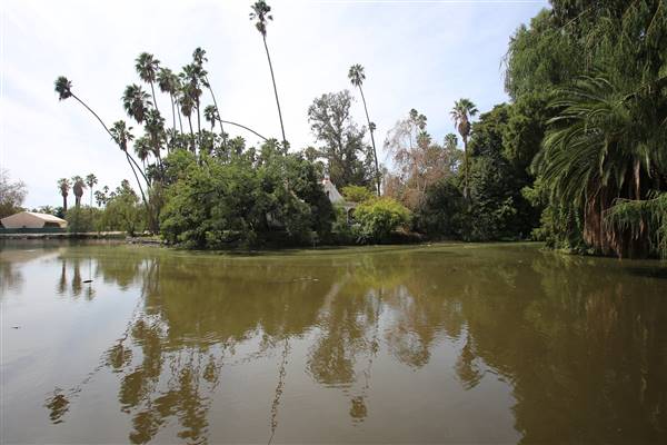 Los Angeles County Arboretum (11/3/2016 - Credits: Photo courtesy of Kris Bunting)
