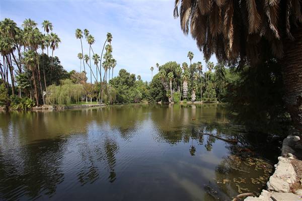 Los Angeles County Arboretum (11/3/2016 - Credits: Photo courtesy of Kris Bunting)