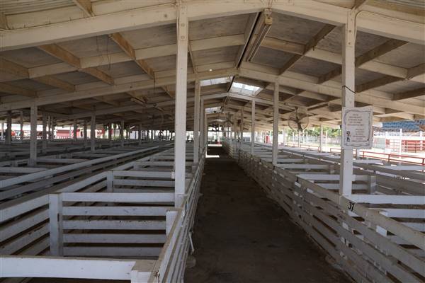 Kern County Fair - 15th DAA - Various Barn and Livestock Areas (11/7/2016 - Credits: Barns & Livestock Area - Photo courtesy of Kern County Fair)