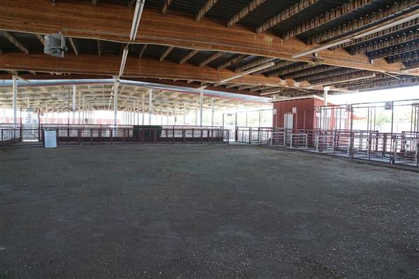 Kern County Fair - 15th DAA - Various Barn and Livestock Areas (11/7/2016 - Credits: Barns & Livestock Area - Photo courtesy of Kern County Fair)
