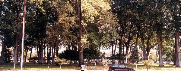 City Plaza (12/31/2003)
