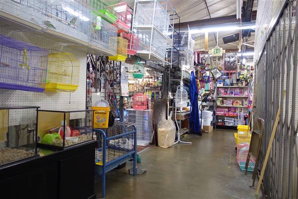 Union Discounts Swapmeet (1/18/2017)
