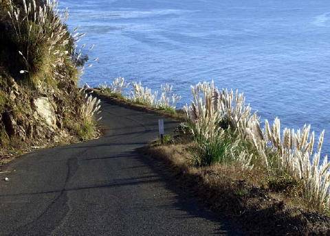 Nacimiento Fergusson Road - Forest Road No. 22S01 (6/28/2017)