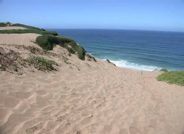 Sand City Beach / Eolian Dunes Preserve - Sand Dunes (6/28/2017)