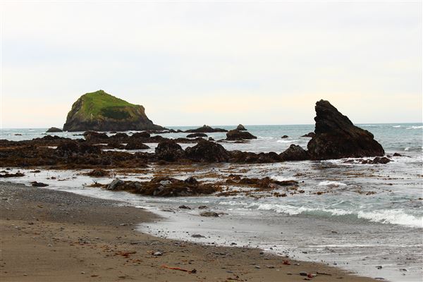 Van Damme State Park (SP) / Beach / Pygmy Forest / Fern Canyon Trail / Spring Ranch Trail - Beach (4/5/2017 - Credits: Kellen Lim)