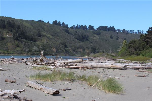 Navarro River Beach - Navarro River Redwoods State Park (SP) (3/31/2017 - Credits: Kellen Lim)