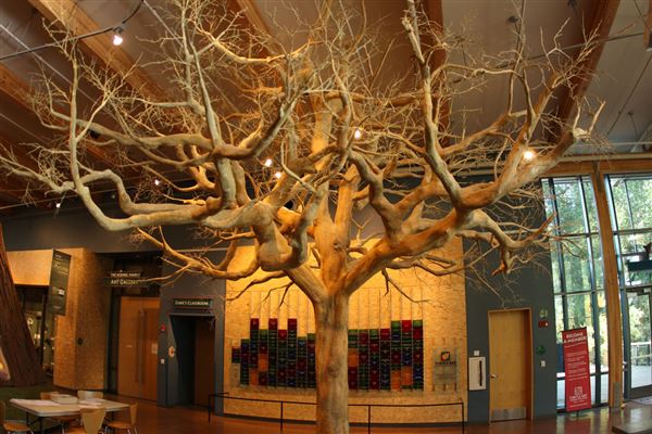 Shasta County Museums (1/19/2018)