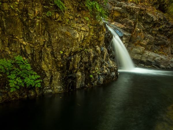 Shasta County Waterfalls (1/19/2018 - Credits: Michelle James)