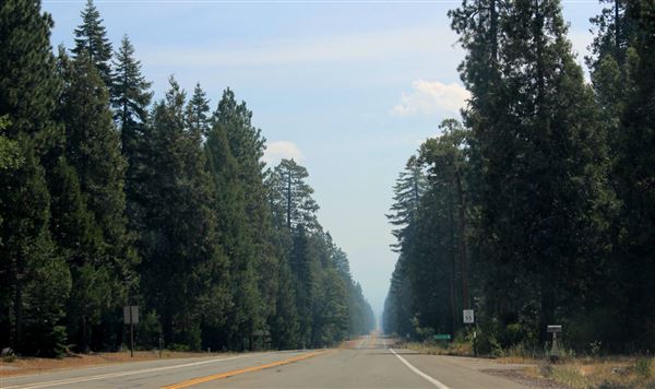 Shasta County Roads & Bridges (1/19/2018)