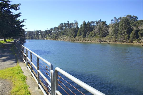 Noyo Harbor District - Noyo Harbor District (Noyo Harbor south bank) (2/13/2018 - Credits: Kellen Lim)