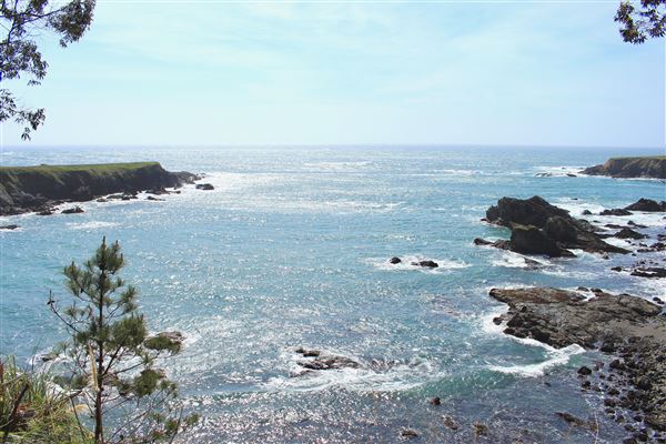 Russian Gulch State Park (SP) / Russian Gulch Bridge - Highway 1 - South Headlands Trail - Accessible from a small public parking lot at the end of Woodstock Drive and ends at campground area in park. Trail offers views of ocean from small clearings. Caution is advised when standing near cliff edge. (4/22/2018 - Credits: Kellen Lim)