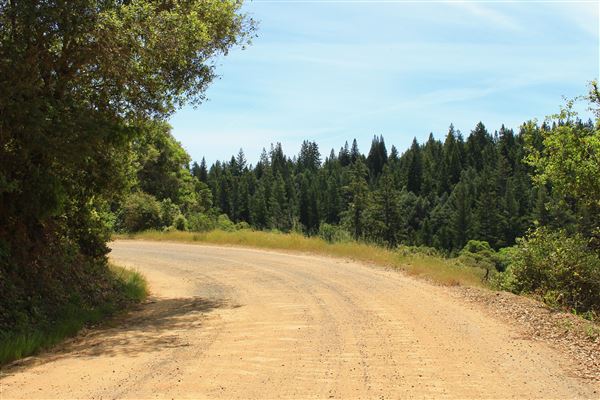 Peachland Road - Anderson Valley region- North East of Boonville (5/15/2018 - Credits: Kellen Lim)