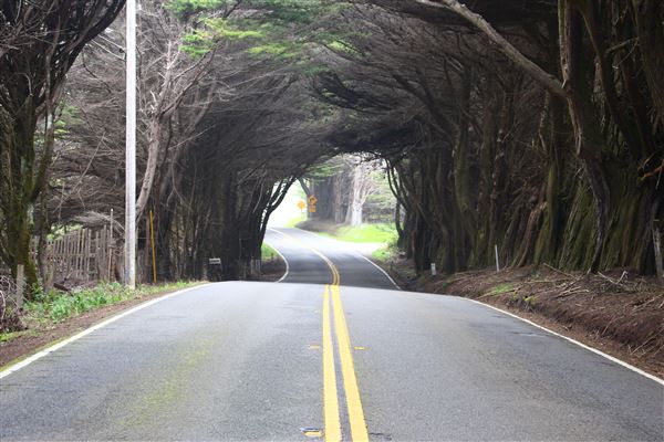 Highway 1 - North Coast corridor (3/29/2017 - Credits: Kellen Lim)