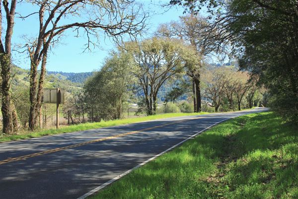 Highway 128 - Anderson Valley corridor - Highway 128 - North of Philo (looking southward) (4/24/2018 - Credits: Kellen Lim)