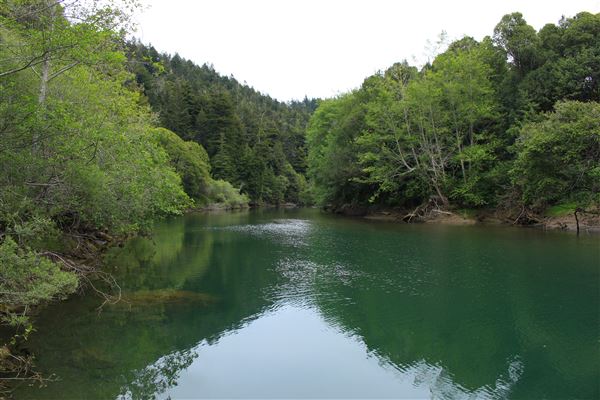 Navarro River - located in Hendy Woods State Park (SP) (5/15/2018 - Credits: Kellen Lim)