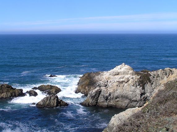 Bodega Bay Coast (7/25/2018)