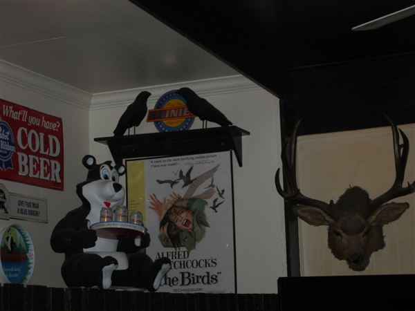 The Casino Bar & Grill (7/25/2018)
