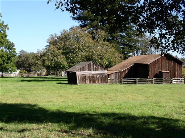 Cotati (7/25/2018)
