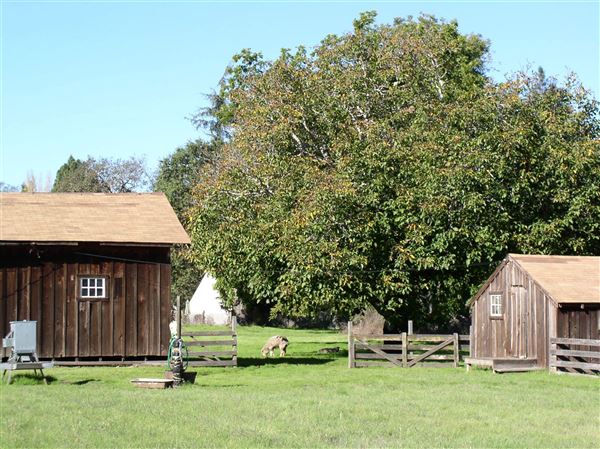 Cotati (7/25/2018)
