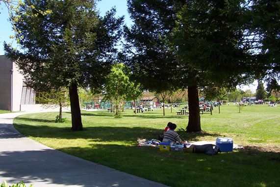 Finley Community Park (7/25/2018)